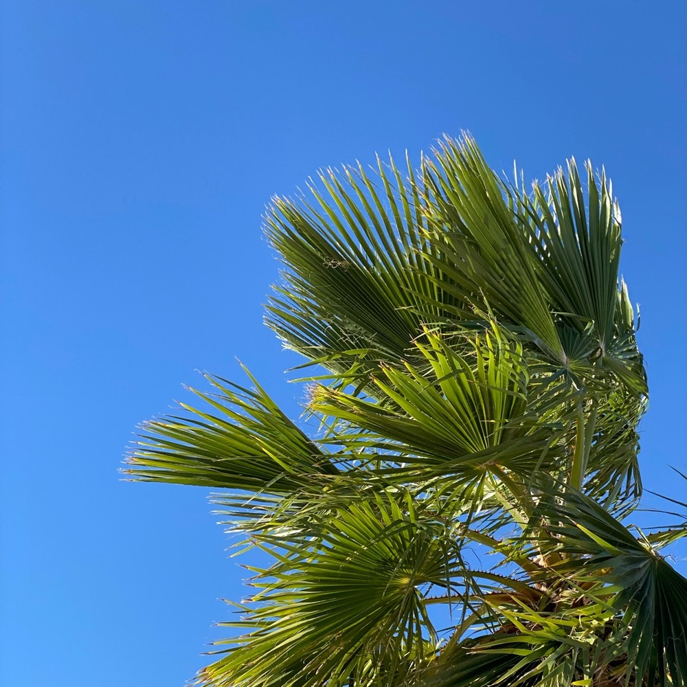 Meet your Posher, Natalie